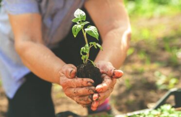 Jardineria “La loca”