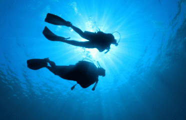 Dolphins Diving Center SL