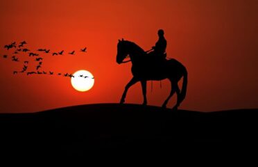 PS Equestrian