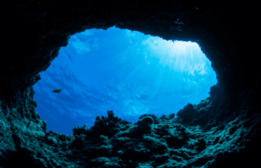 KrakenDive Tossa de Mar – Escuela de Buceo